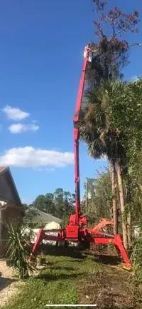 Crane tree work